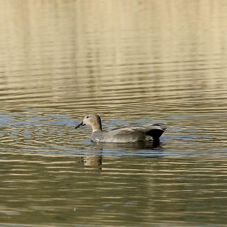 Gite De L'Etang Belval-en-Argonne Dış mekan fotoğraf