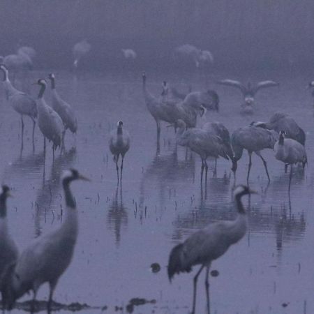 Gite De L'Etang Belval-en-Argonne Dış mekan fotoğraf